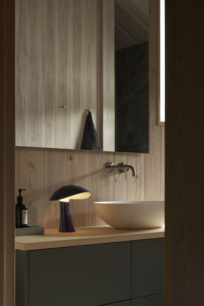 Rumee 220 Portable Lamp