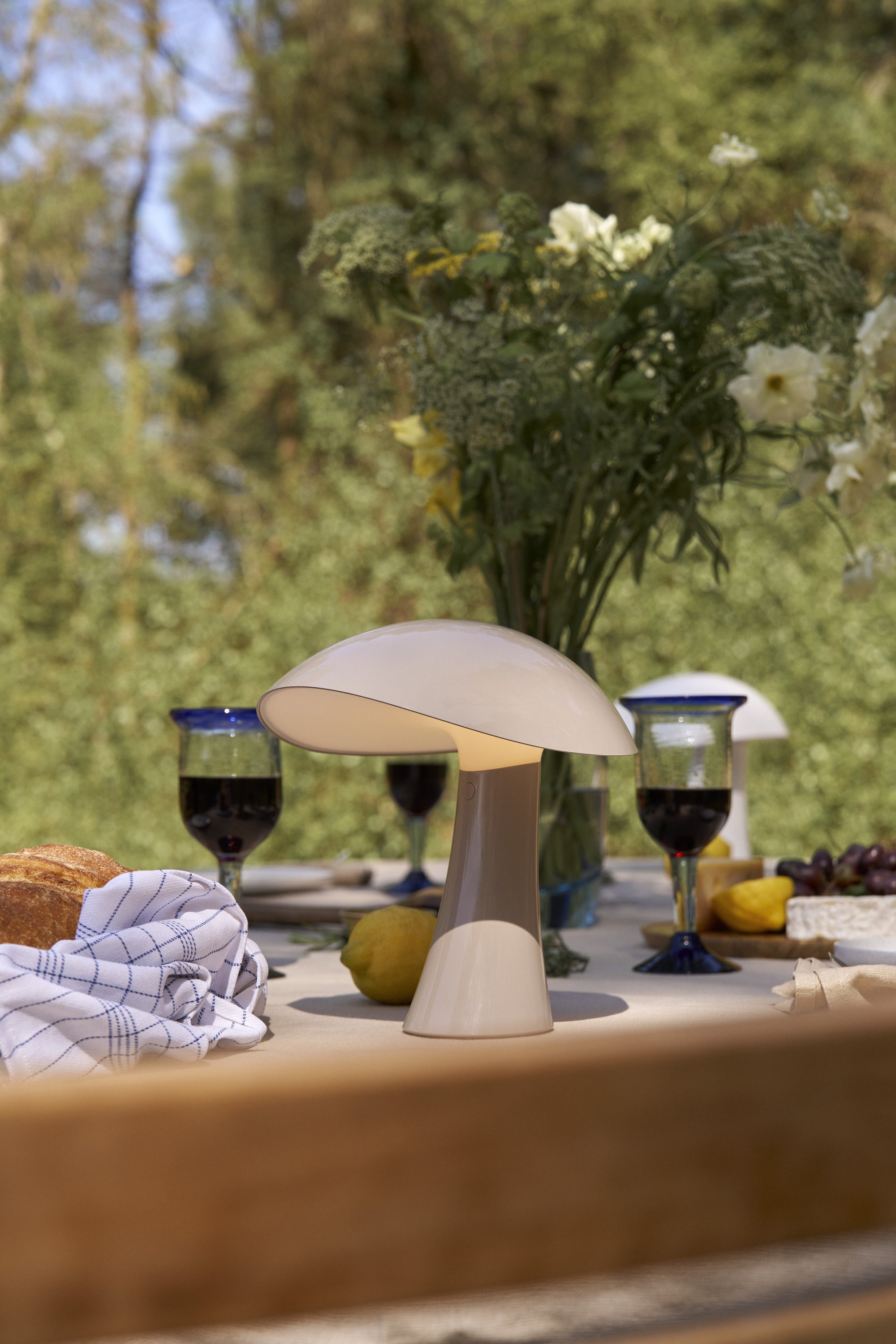 Rumee 220 Portable Lamp