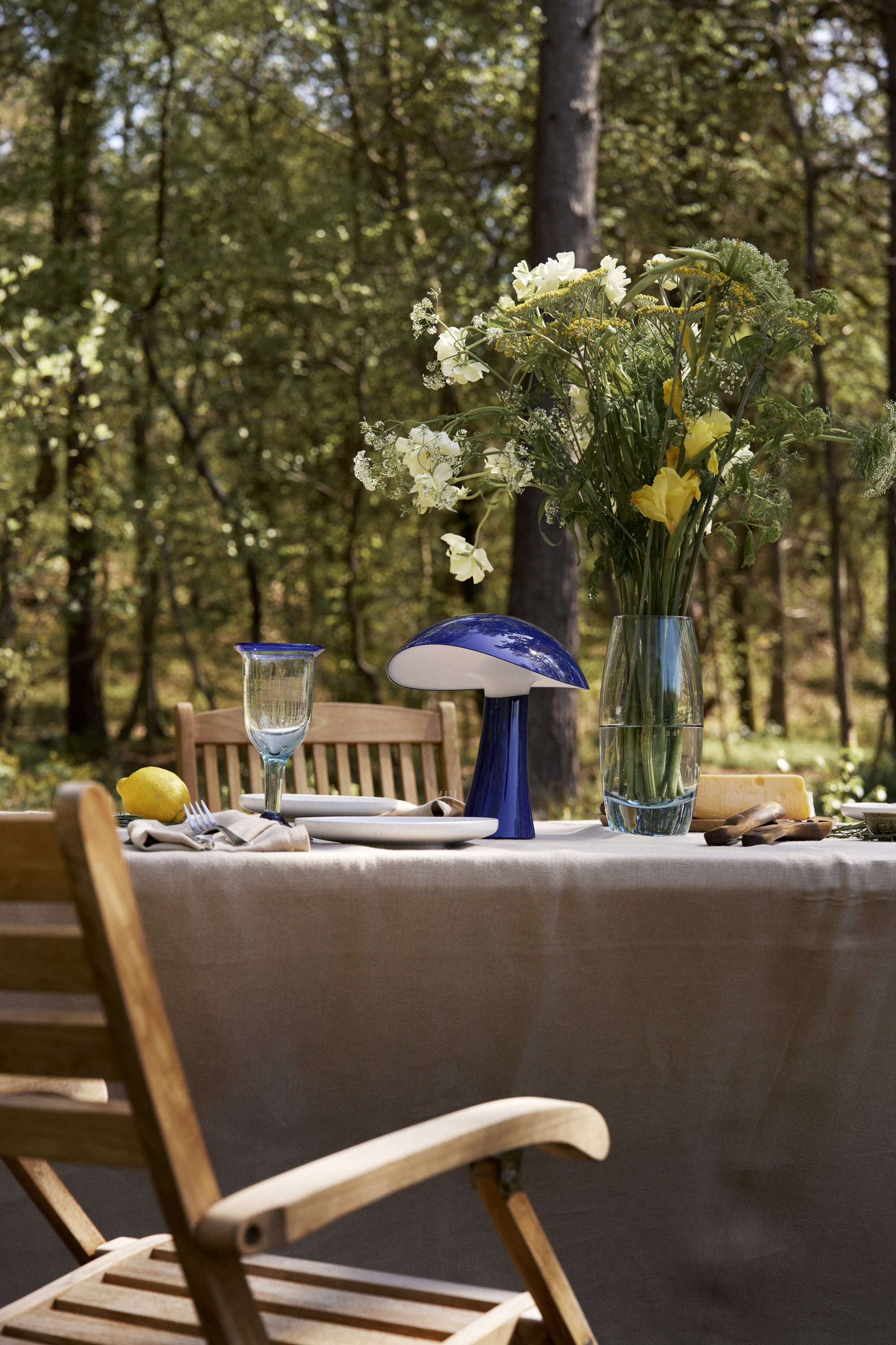 Rumee 220 Portable Lamp