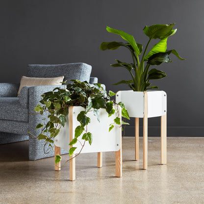 Atrium Planter