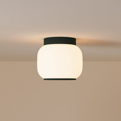 Canopy Flush Mount