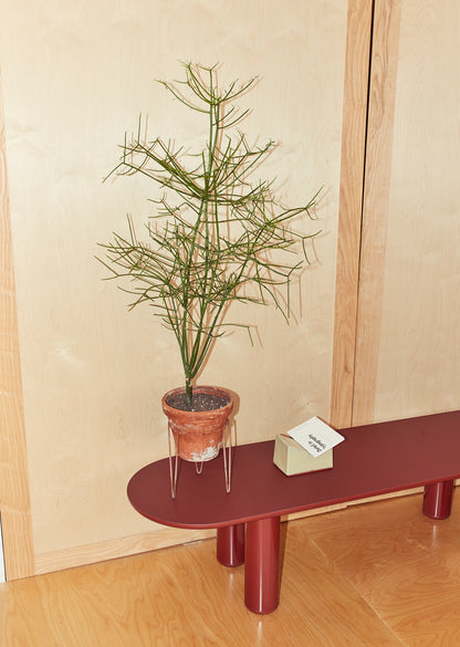 Eclipso Coffee Table