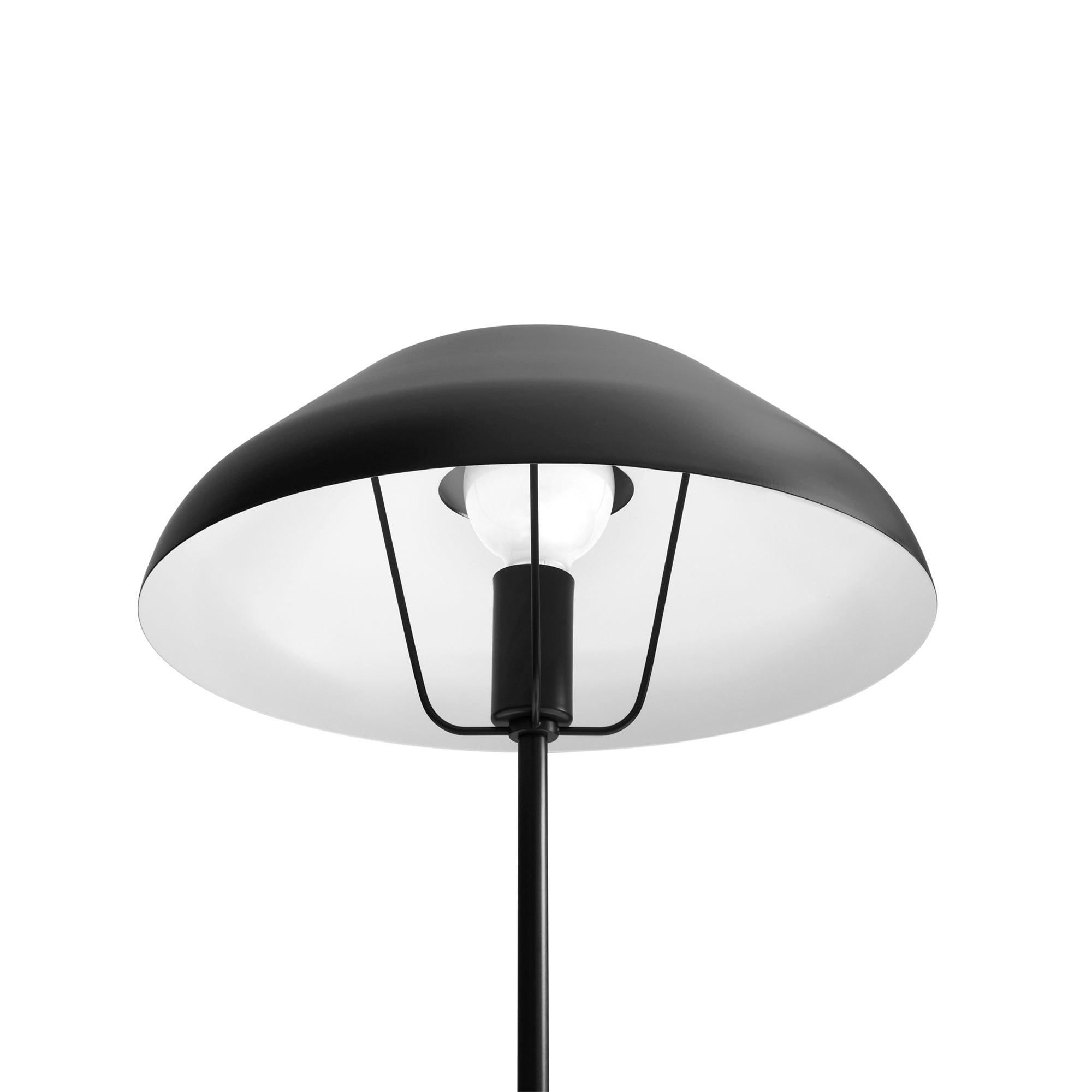 Beau Table Lamp