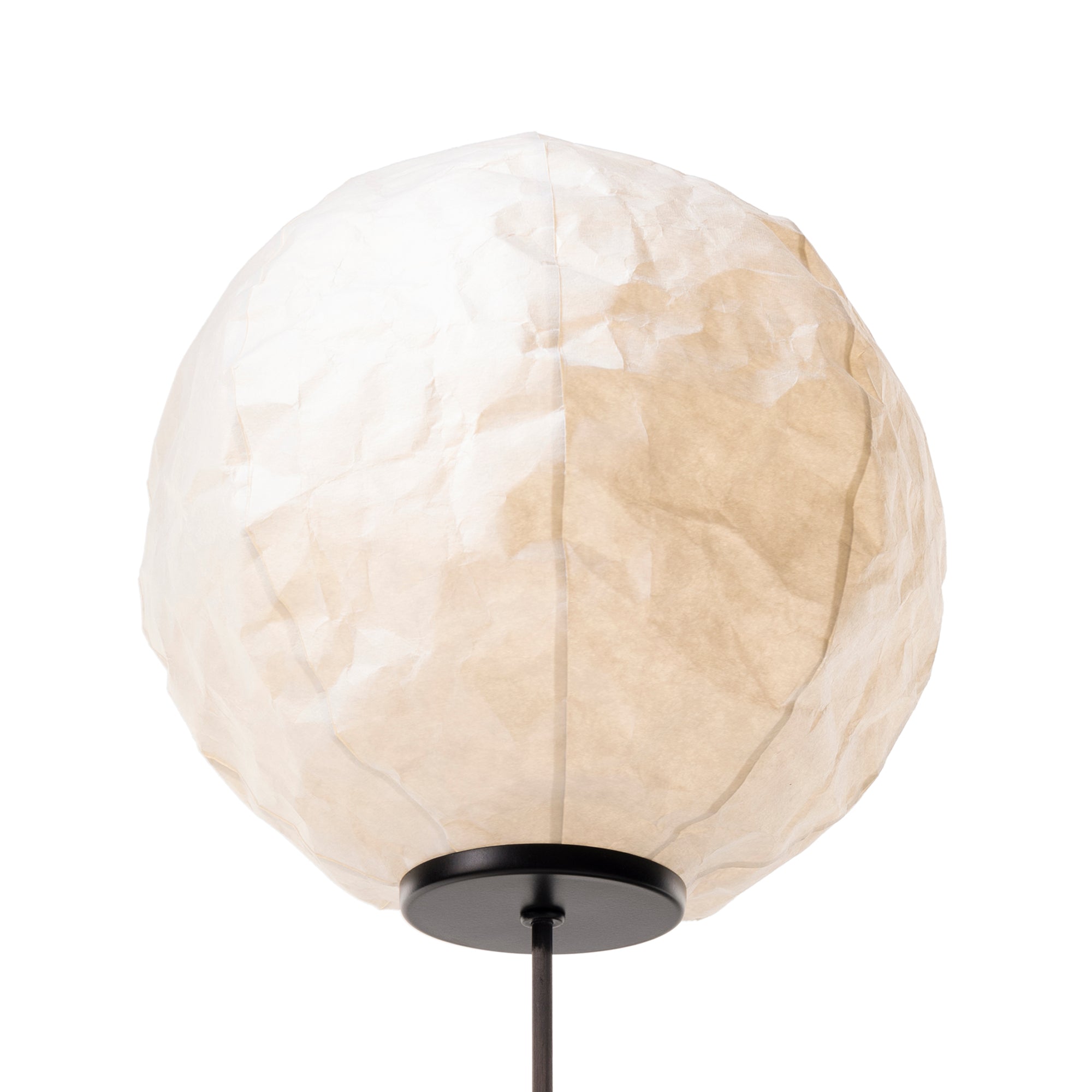 Cho Floor Lamp