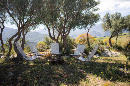 Click Lounge Chair