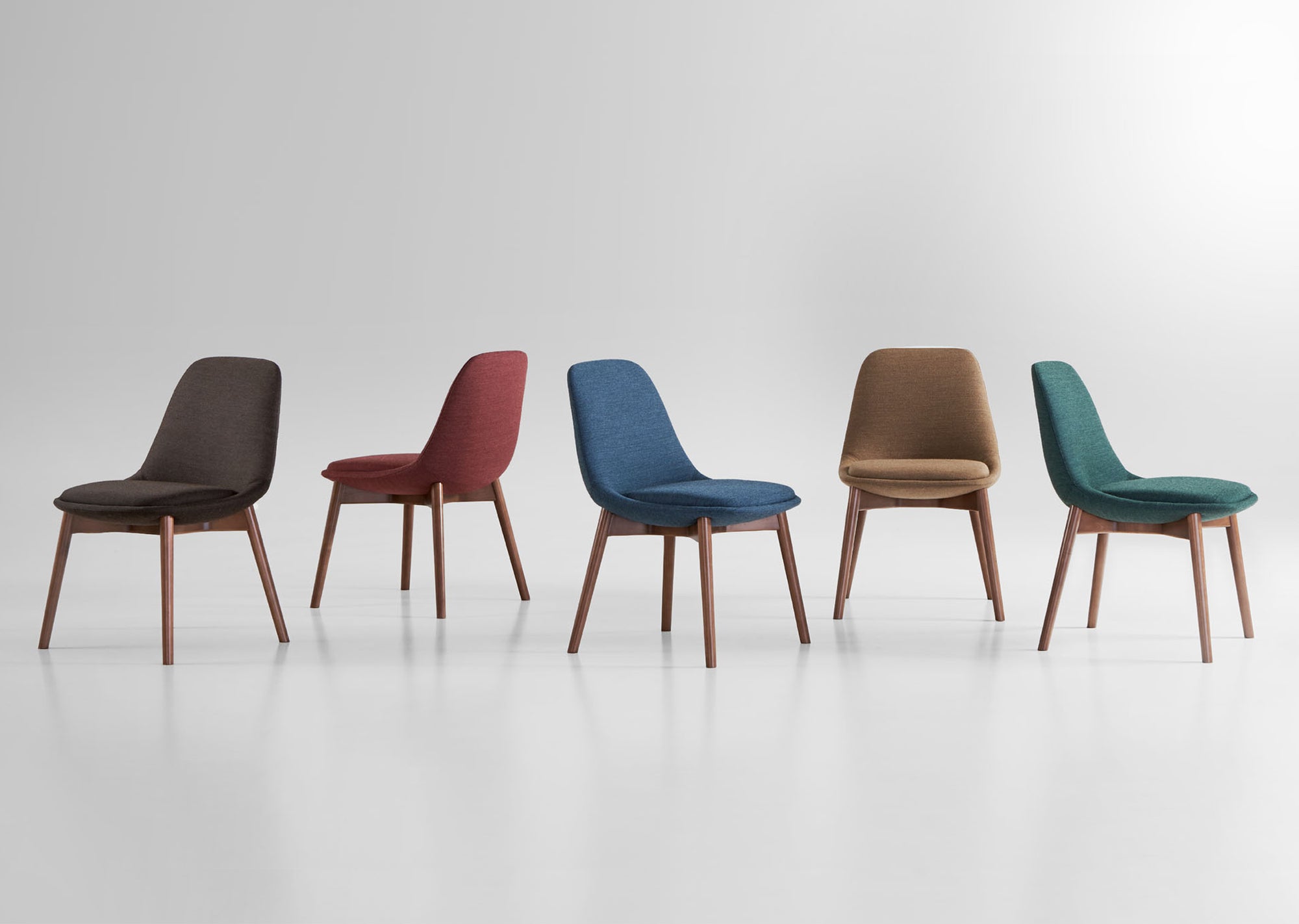 Chloe Guest Dining Chair — Wood Base