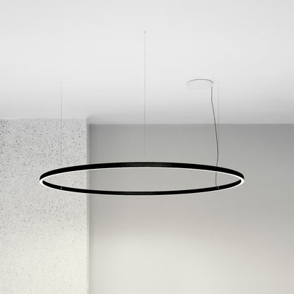 Compendium Circle Suspension Lamp