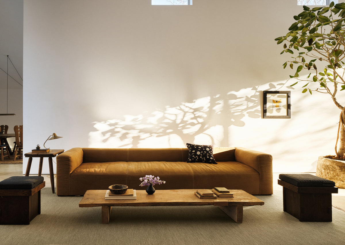 Desert Rug