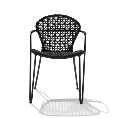 Fizz Dining Chair