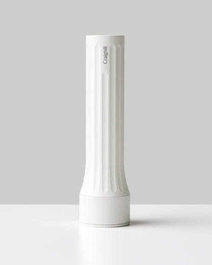 Temple Flashlight
