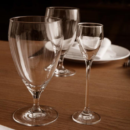 Perfection Beer Glass — Set of 6