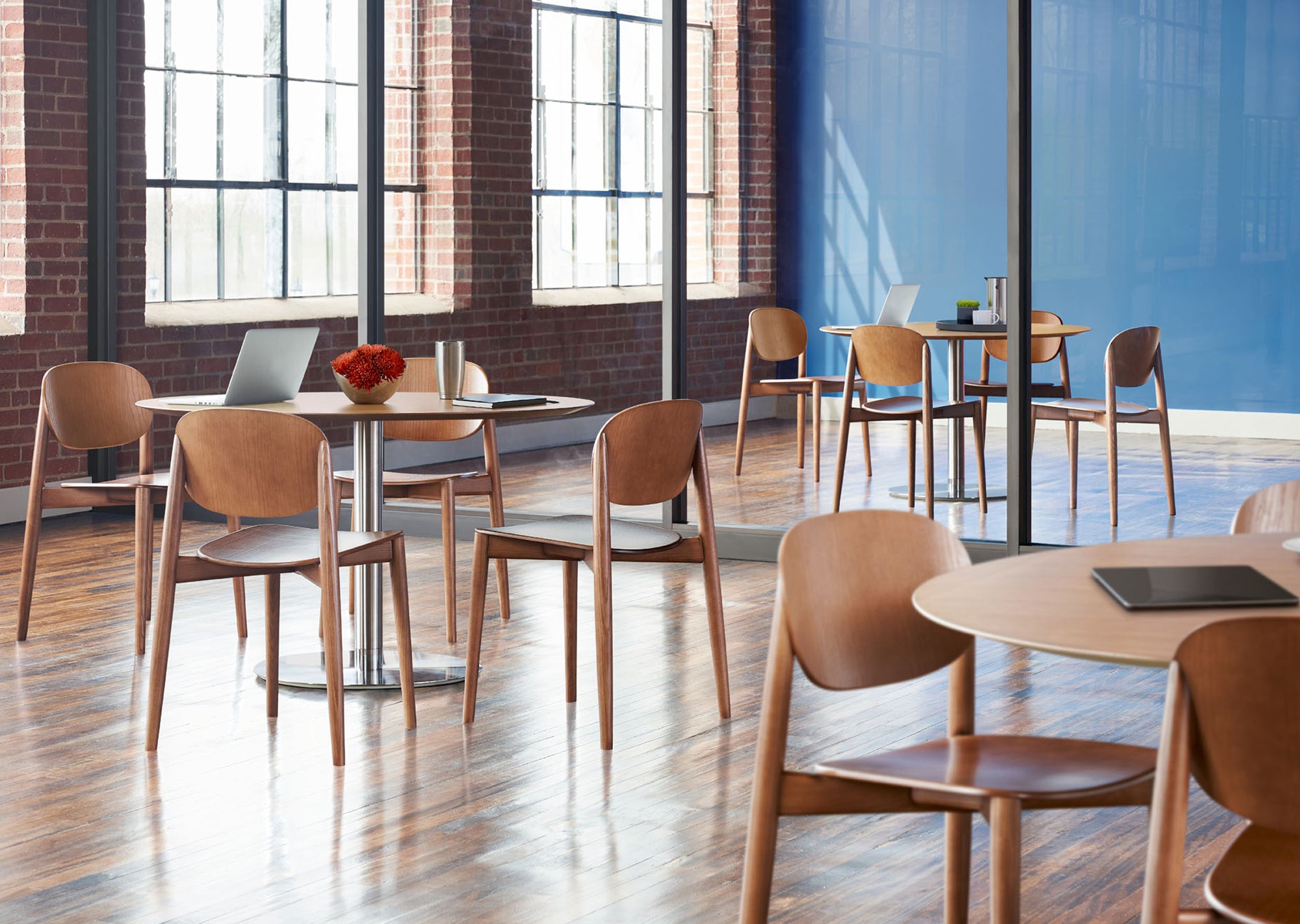 Halo Stacking Chair — Wood