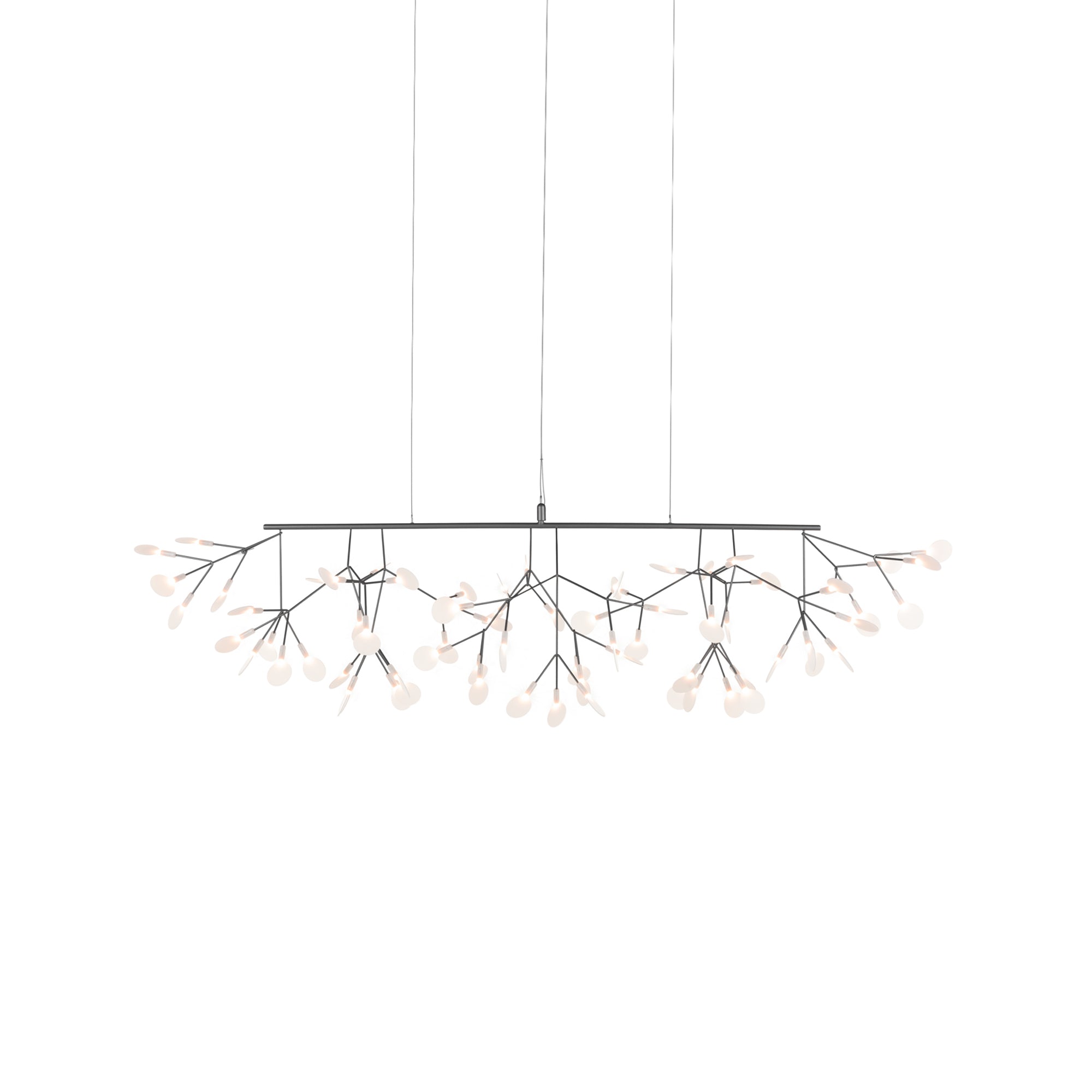 Heracleum III Suspension Lamp — Linear