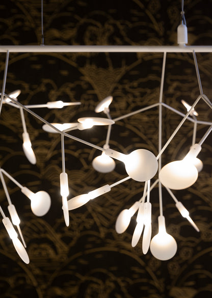Heracleum III Suspension Lamp — Linear