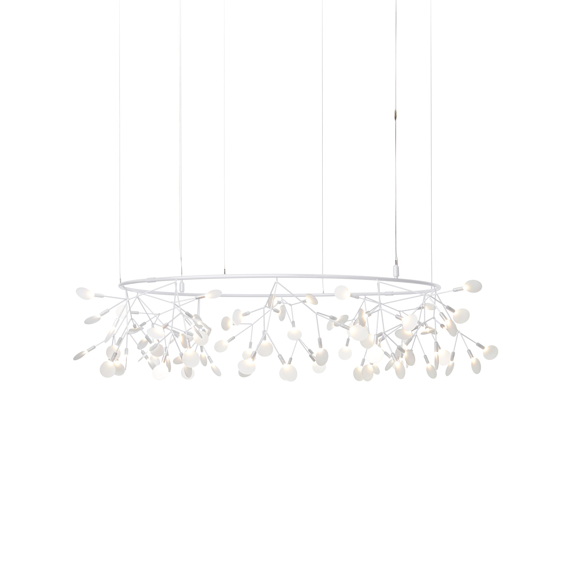 Heracleum III Suspension Lamp — The Big O