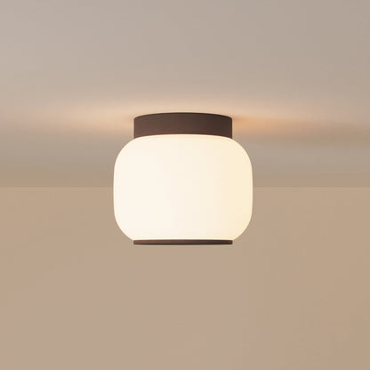 Canopy Flush Mount