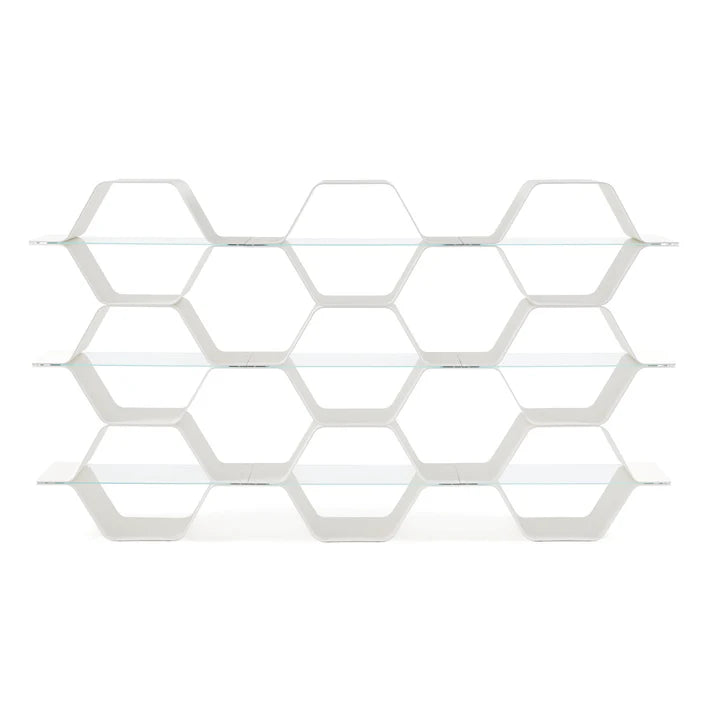 Honeycomb Modular Shelving