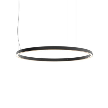 Compendium Circle Suspension Lamp