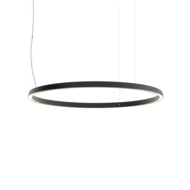 Compendium Circle Suspension Lamp