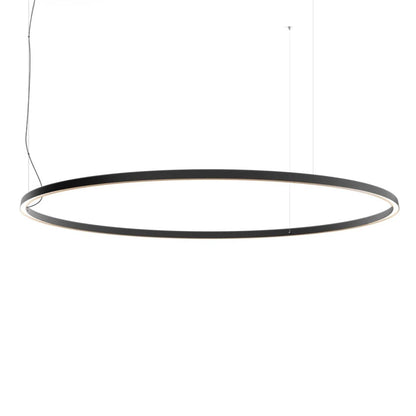 Compendium Circle Suspension Lamp