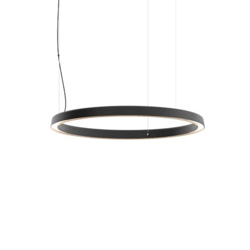 Compendium Circle Suspension Lamp