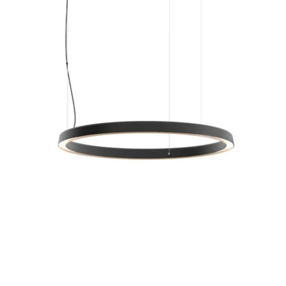 Compendium Circle Suspension Lamp