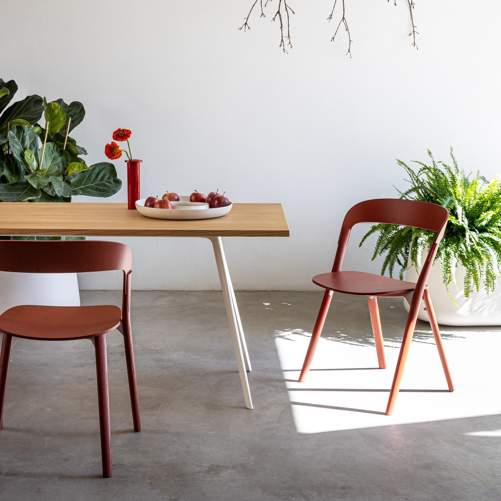 Pila Chair