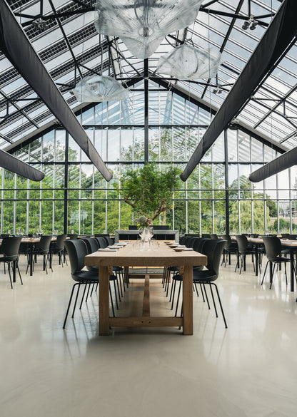 Hana Dining Chair