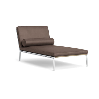 Man Daybed