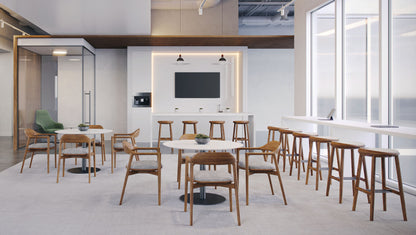 Neve Dining Chair