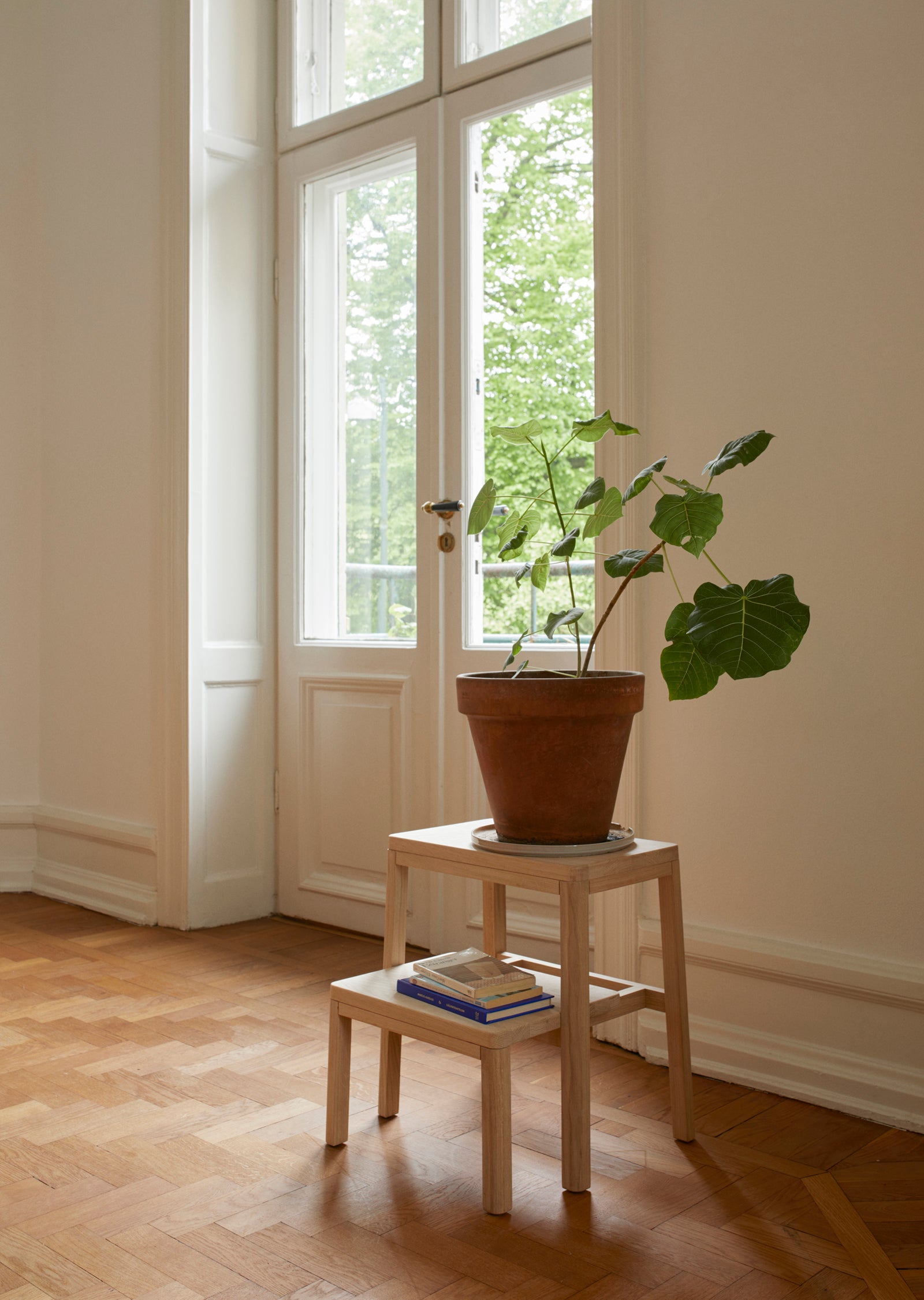 Noboru Step Ladder