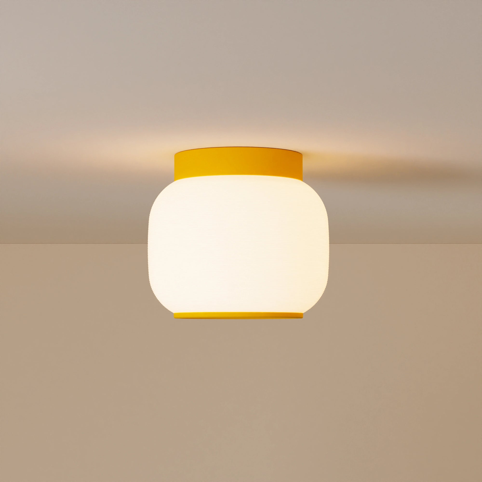 Canopy Flush Mount