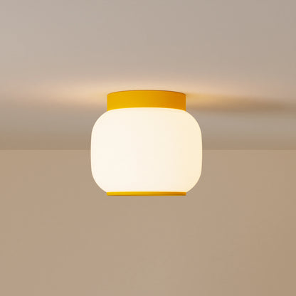 Canopy Flush Mount