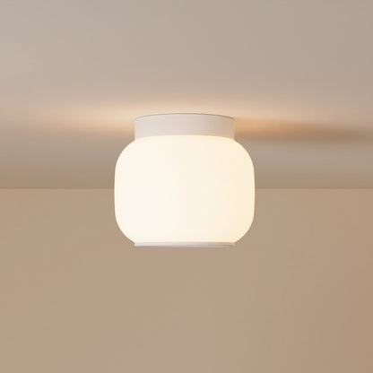 Canopy Flush Mount