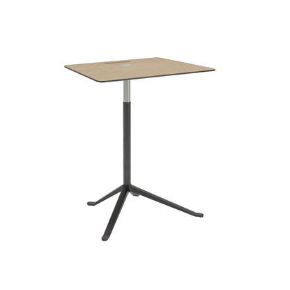 Little Friend Side Table