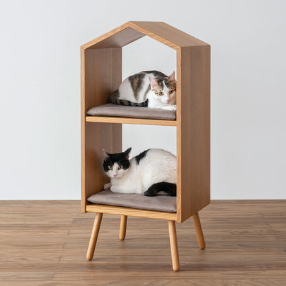 Cat House