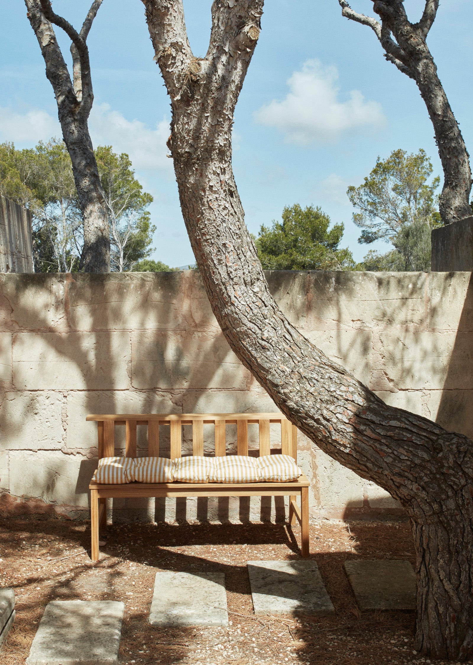 Plank Bench