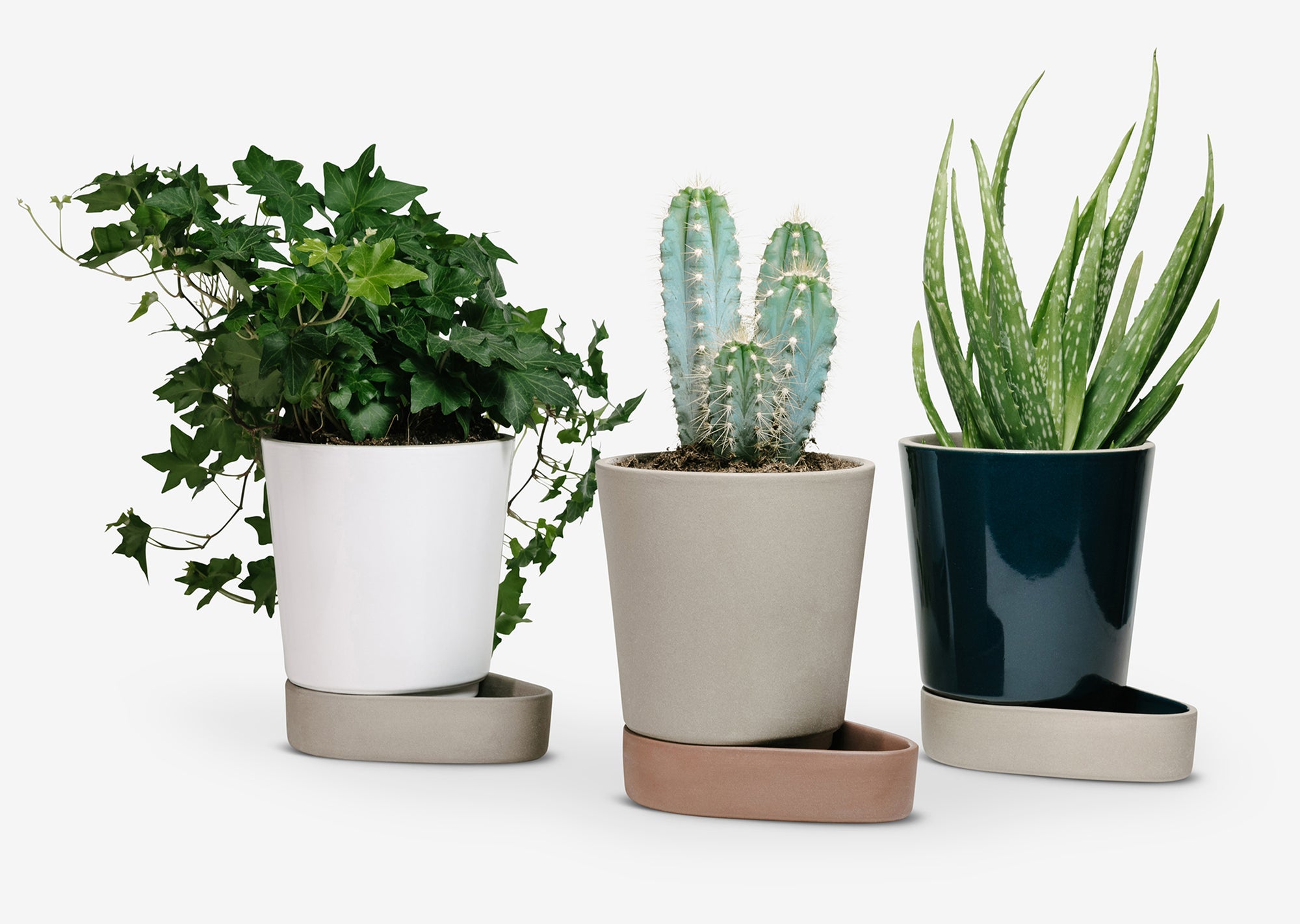 Sip Plant Pot