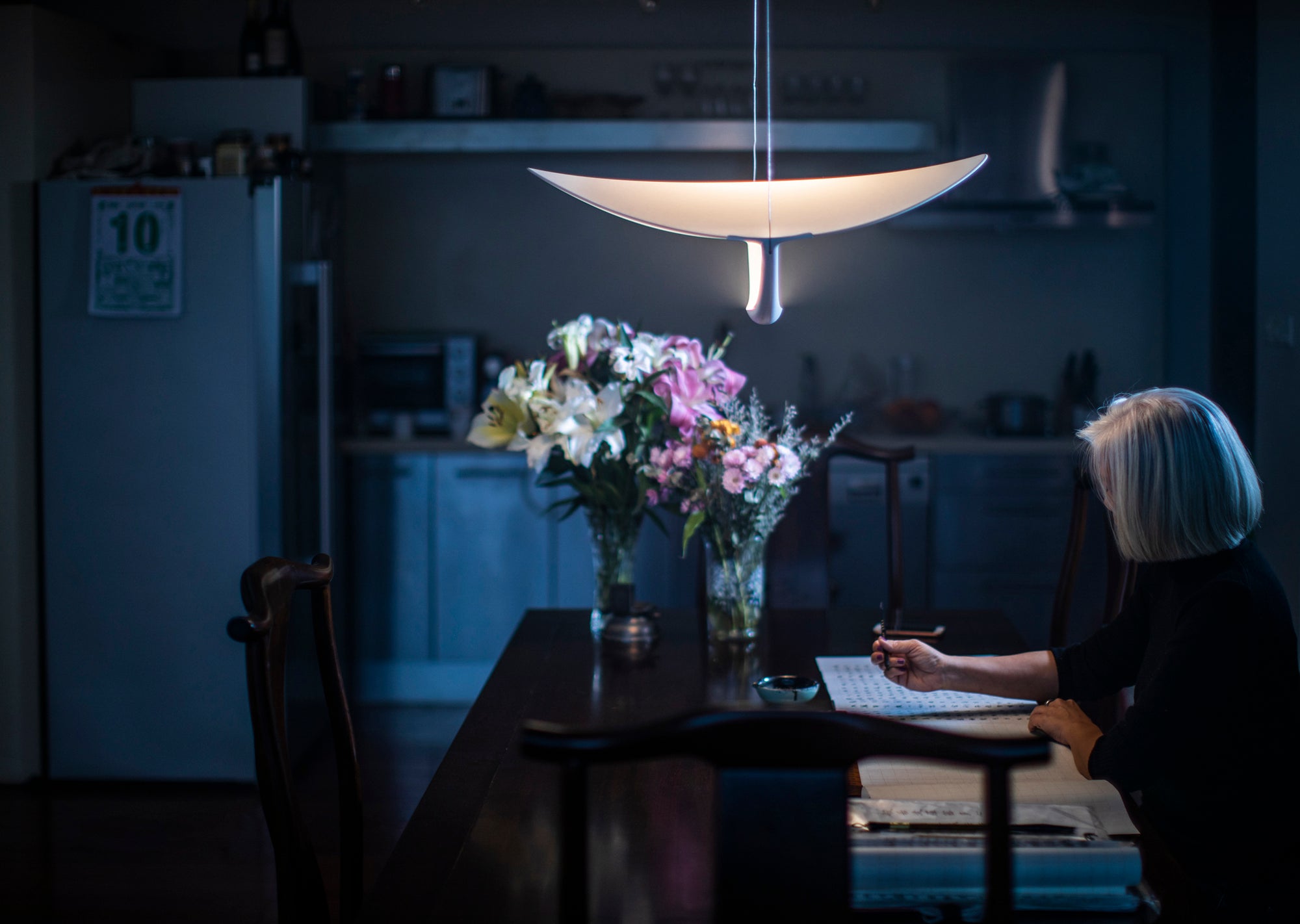 Plena LED Pendant Lamp