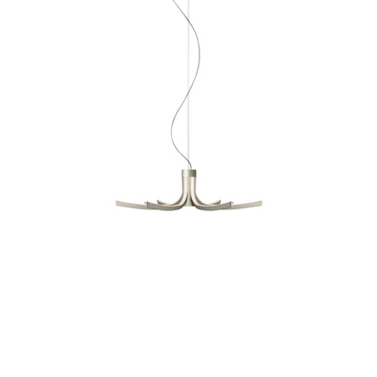 Asteria Pendant Lamp