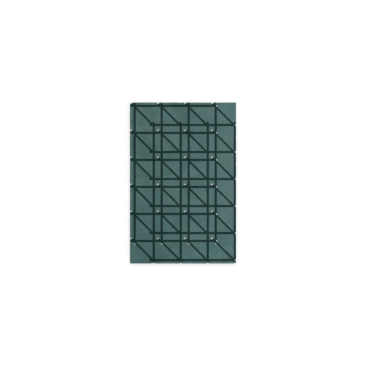 RG-01 Rug by Christian Borger, Celadon, 5×8, top-down view