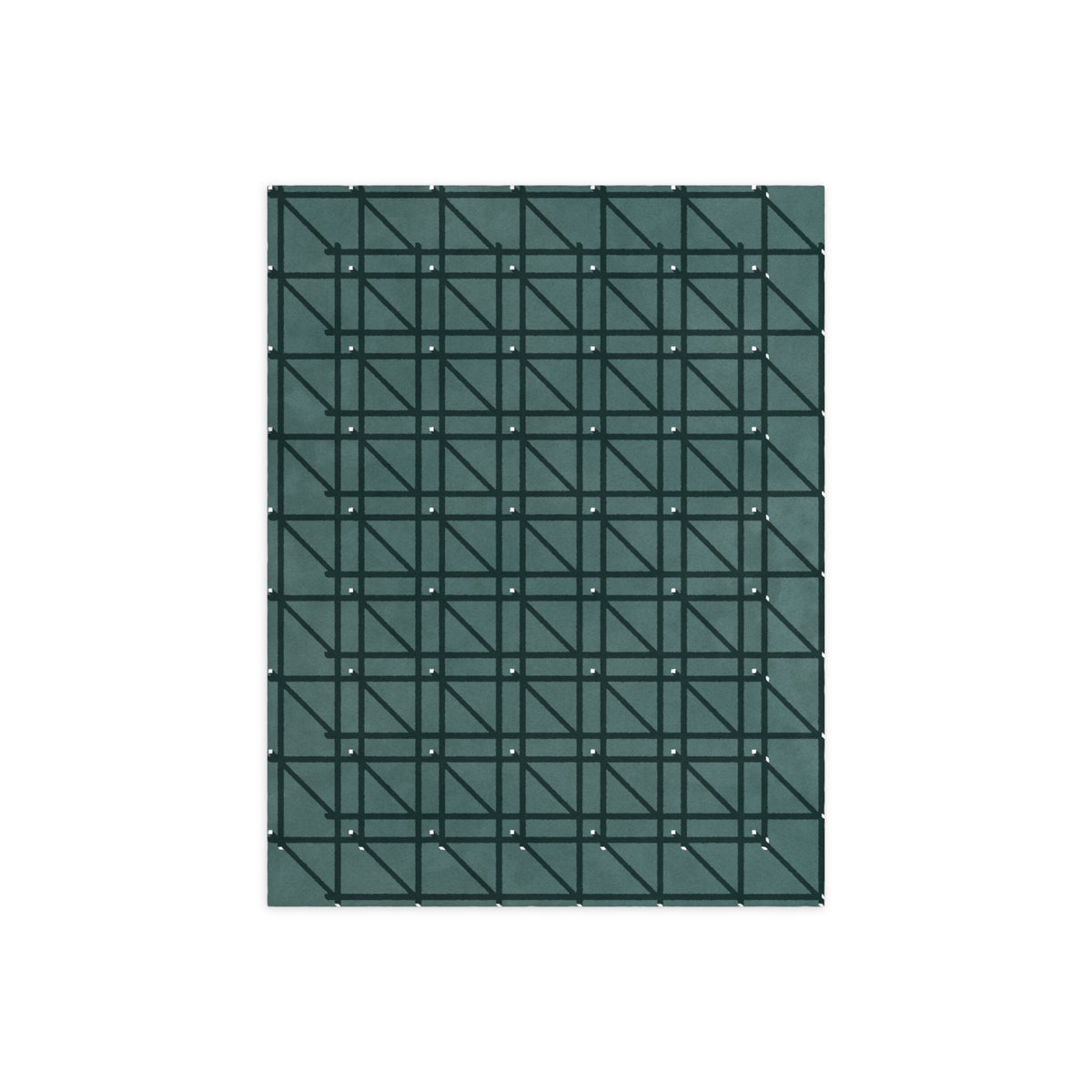 RG-01 Rug by Christian Borger, Celadon, 9×12, top-down view