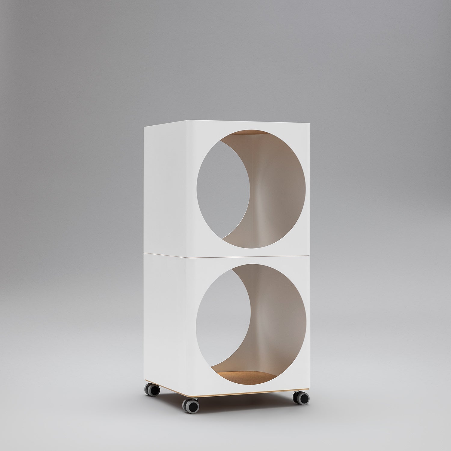 Ring Modular Storage