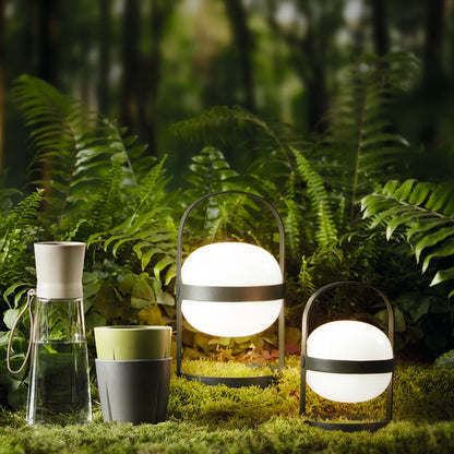 Soft Spot Solar Lamp — Pine Green