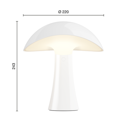 Rumee 220 Portable Lamp