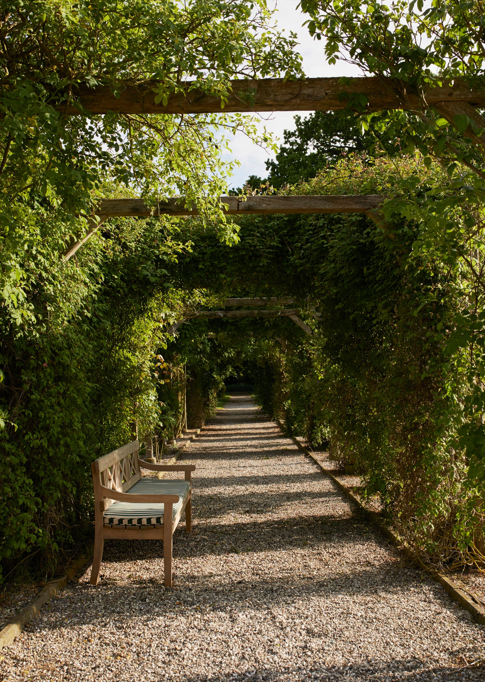 Drachmann Bench