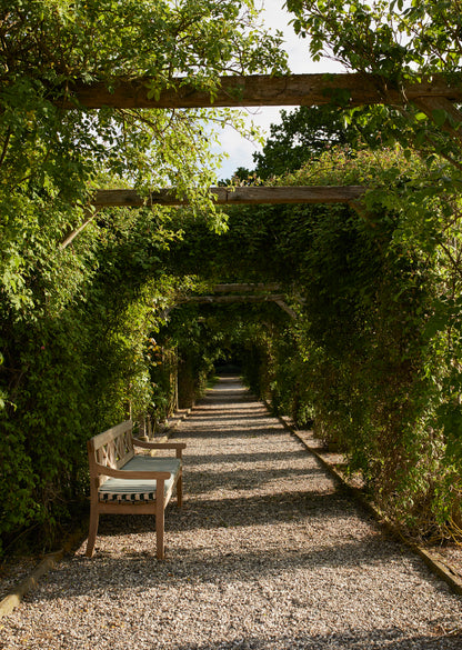 Drachmann Bench