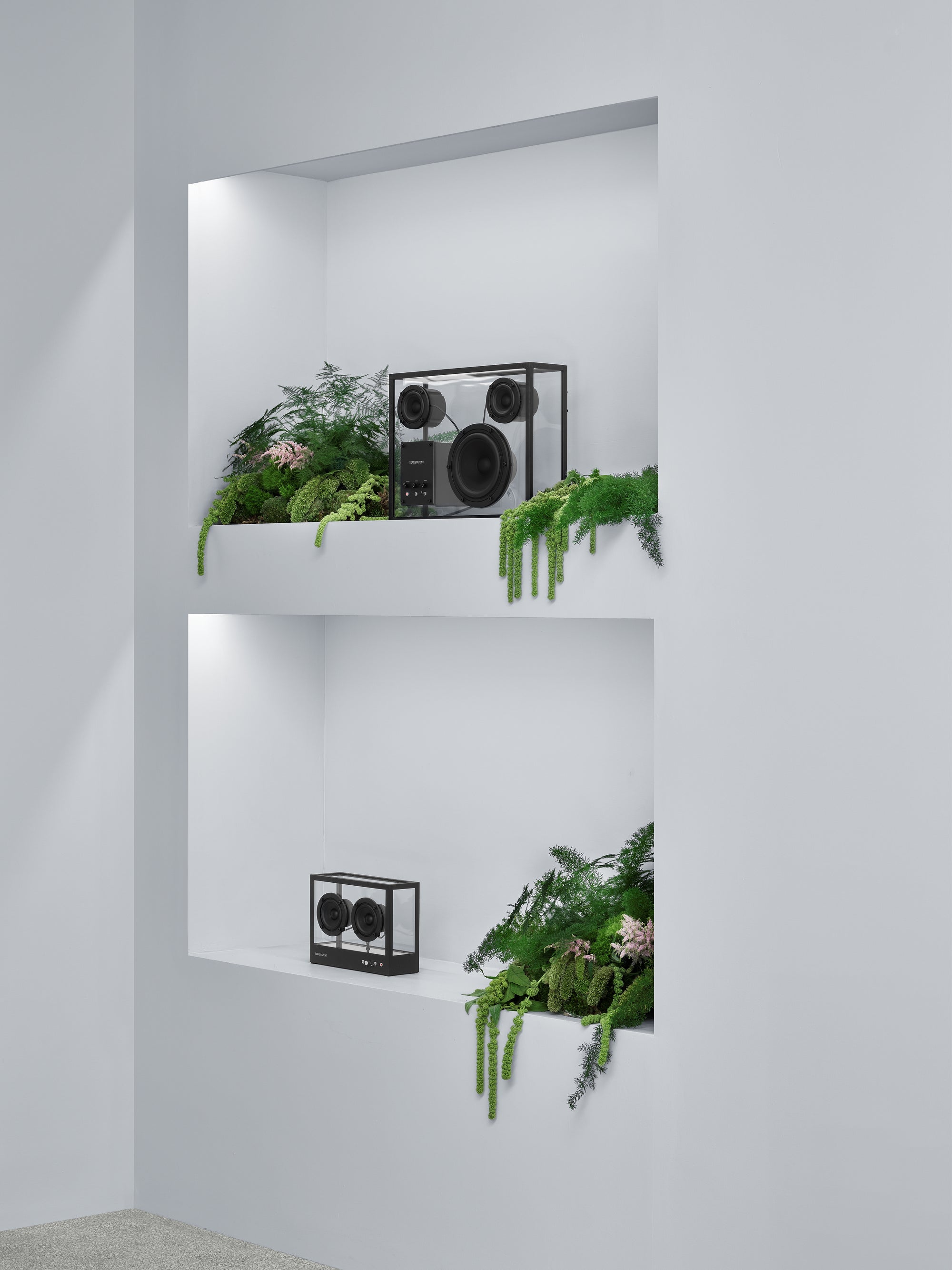 Transparent Speaker