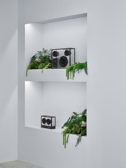 Transparent Speaker