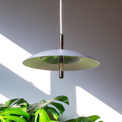 Signal Pendant Light — White & Nickel